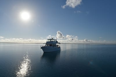 DSC_5737.JPG