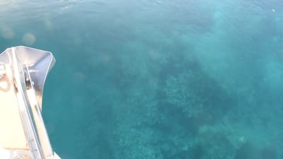 DSC_5742.MOV