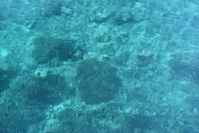 DSC_5747.JPG