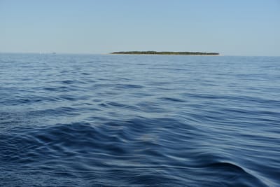 DSC_5753.JPG