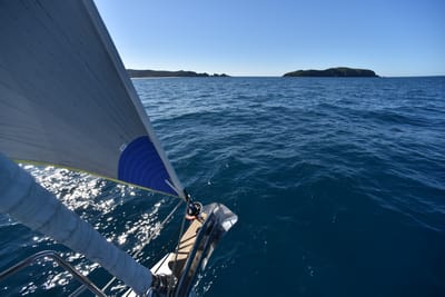 DSC_5786.JPG