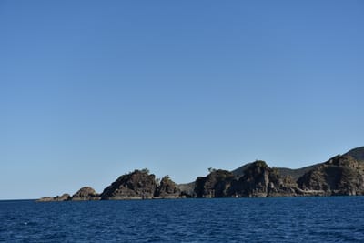 DSC_5812.JPG
