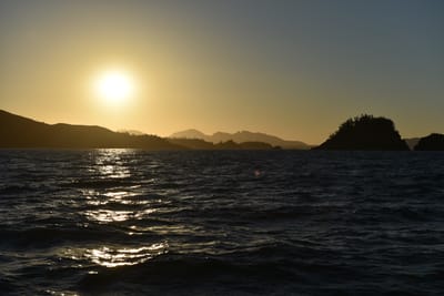 DSC_5835.JPG