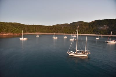 DSC_5846.JPG