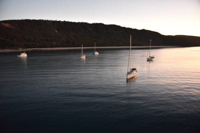 DSC_5847.JPG