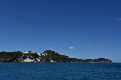 DSC_5866.JPG