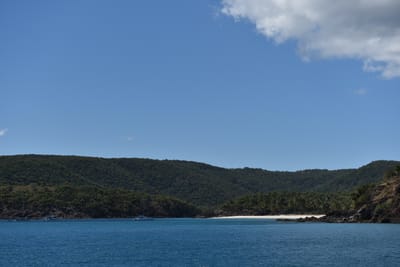 DSC_5867.JPG