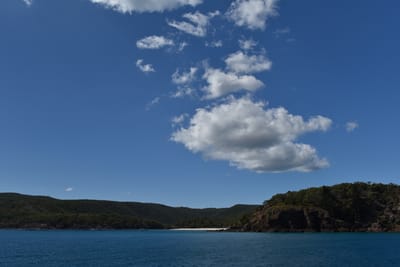 DSC_5868.JPG