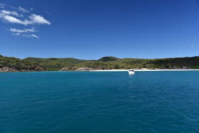 DSC_5872.JPG