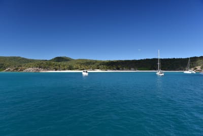 DSC_5873.JPG