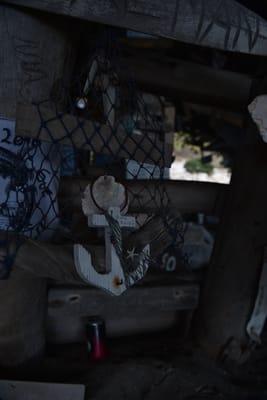 DSC_5919.JPG