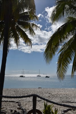 DSC_5925.JPG