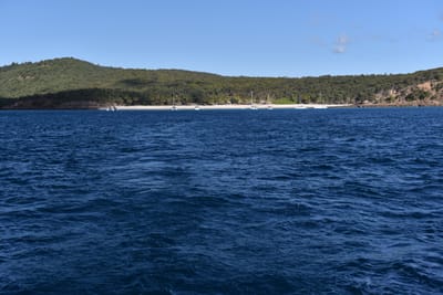 DSC_5930.JPG