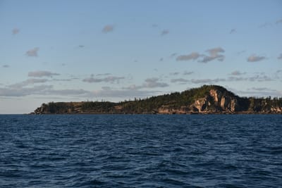 DSC_5935.JPG