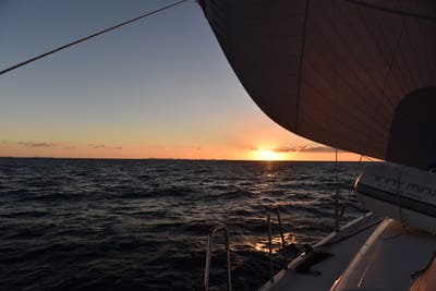 DSC_5936.JPG