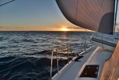 DSC_5937.JPG