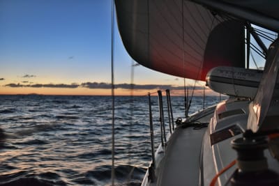DSC_5948.JPG