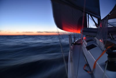 DSC_5965.JPG