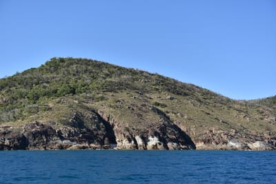 DSC_5988.JPG