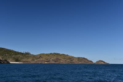 DSC_5989.JPG