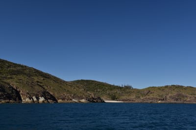 DSC_5990.JPG