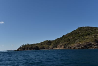 DSC_5992.JPG