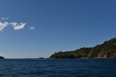 DSC_5993.JPG