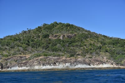 DSC_5995.JPG