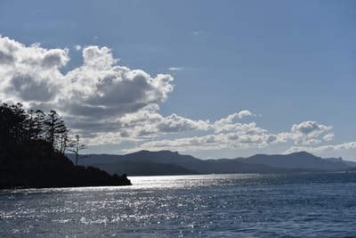 DSC_6000.JPG