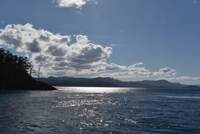 DSC_6001.JPG