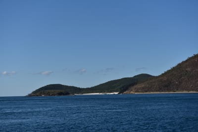 DSC_6002.JPG