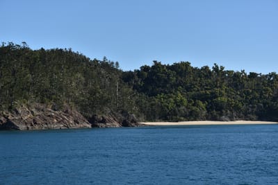 DSC_6003.JPG