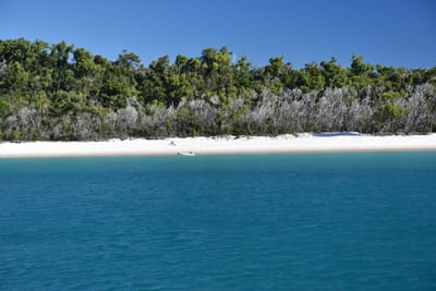 DSC_6016.JPG