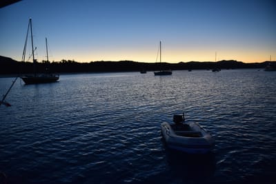 DSC_6018.JPG