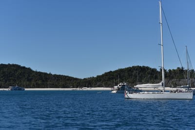 DSC_6069.JPG