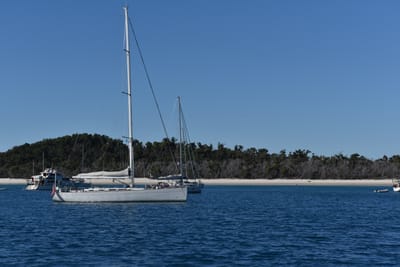 DSC_6070.JPG