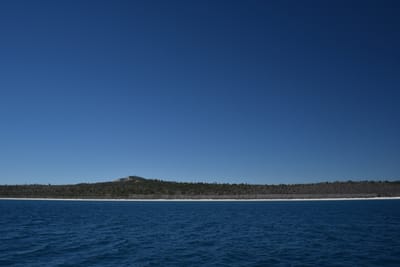 DSC_6071.JPG
