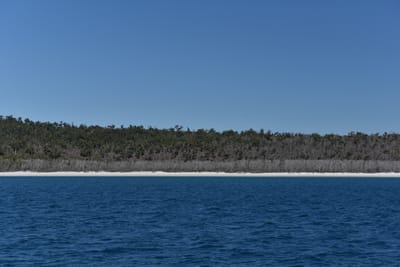 DSC_6073.JPG