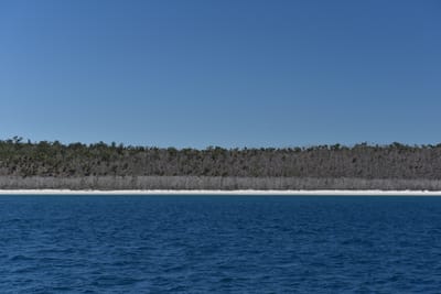 DSC_6074.JPG