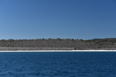 DSC_6075.JPG