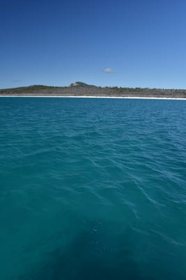 DSC_6078.JPG