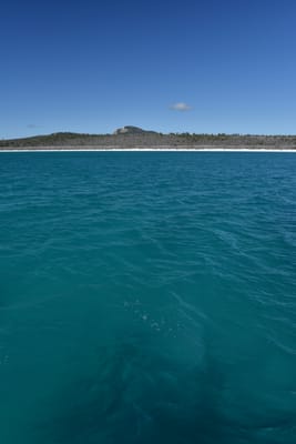 DSC_6079.JPG