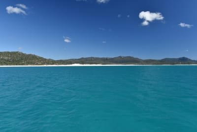 DSC_6083.JPG