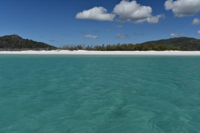 DSC_6094.JPG