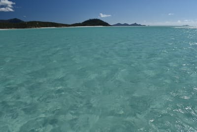 DSC_6100.JPG