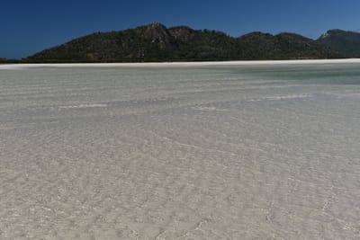 DSC_6103.JPG