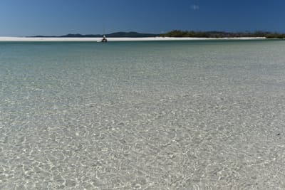 DSC_6104.JPG