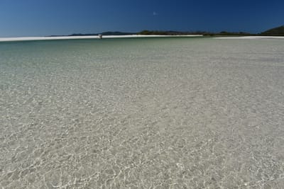 DSC_6108.JPG