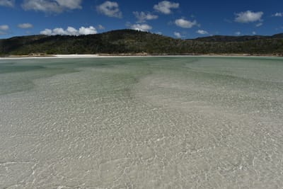 DSC_6109.JPG