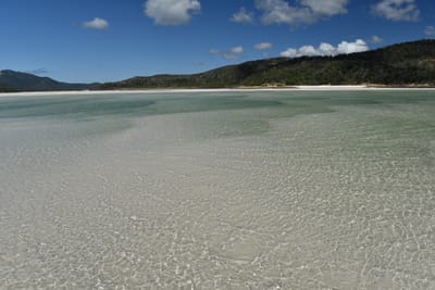 DSC_6110.JPG